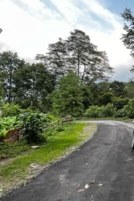 Land for Sale in Rumtek