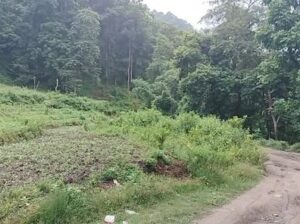 Flat land for sale in Majitar.