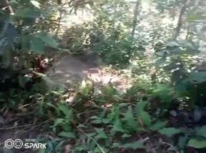 Land for Sale in Rumtek