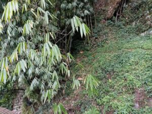 General land for sale in Rongay