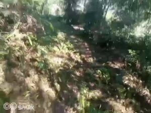 Land for sale near Rumtek