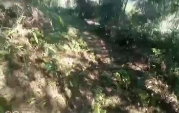 Land for sale near Rumtek