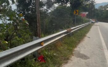 1-acre land for sale in Challam Thang, Pakyong