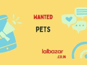 Co-founder wanted for PawTails pet store.